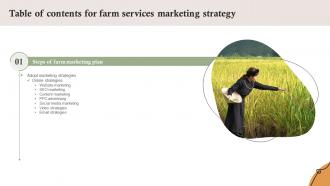 Farm Services Marketing Strategy Table Of Contents Ss V