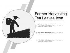 Farmer harvesting tea leaves icon