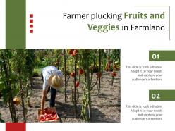 Farmer plucking fruits and veggies in farmland