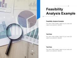 Feasibility analysis example ppt powerpoint presentation example cpb