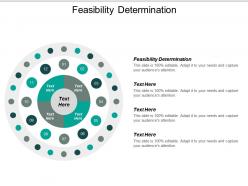 Feasibility determination ppt powerpoint presentation layouts professional cpb