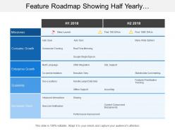 Feature roadmap showing half yearly conversion tracking timeline