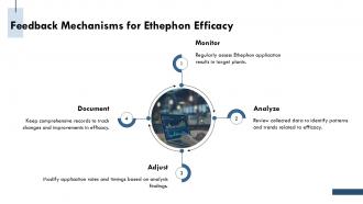 Feedback Mechanisms For Ethephon Efficacy PPT Sample ST AI SS Feedback Mechanisms For Ethephon Efficacy PPT Sample ST AI SS