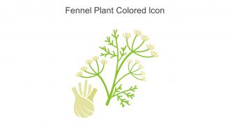 Fennel Plant Colored Icon In Powerpoint Pptx Png And Editable Eps Format
