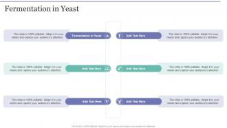 Top 10 Yeast Fermentation PPT Templates with Professional Designs