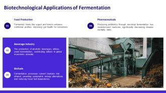Fermentation Process Microorganisms PPT Summary AT Designed Engaging