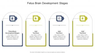 Fetus Brain Development Stages In Powerpoint And Google Slides Cpb