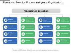 Fiaccabrino selection process intelligence organization and planning