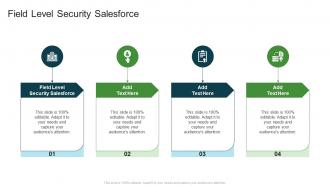 Field Level Security Salesforce In Powerpoint And Google Slides Cpb