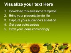 Field of sunflowers beauty powerpoint templates and powerpoint backgrounds 0311