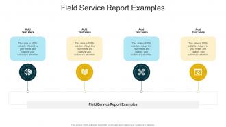 Field Service Report Examples In Powerpoint And Google Slides Cpb