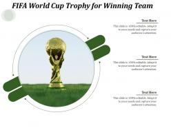 Fifa world cup trophy for winning team