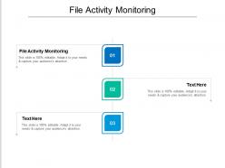 File activity monitoring ppt powerpoint presentation ideas picture cpb