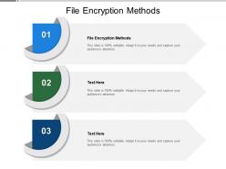File encryption methods ppt powerpoint presentation model slide portrait cpb