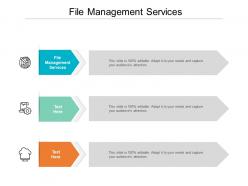File management services ppt powerpoint presentation professional picture cpb