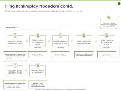 Filing bankruptcy procedure contd objections ppt powerpoint presentation graphics
