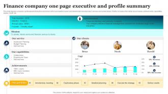 Finance Company One Page Executive And Profile Summary