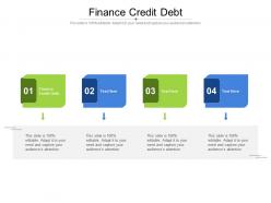 Finance credit debt ppt powerpoint presentation outline elements cpb
