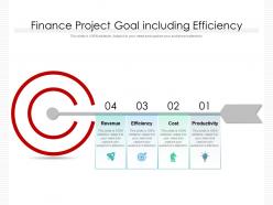 Finance project goal including efficiency