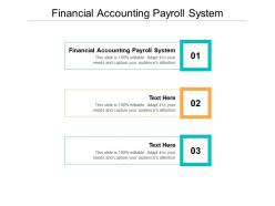 Financial accounting payroll system ppt powerpoint presentation file elements cpb