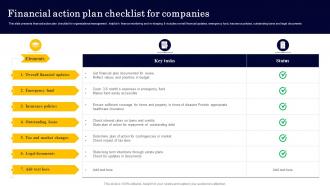 Financial Action Plan Checklist For Companies