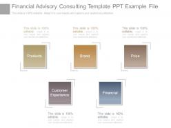 Financial advisory consulting template ppt example file