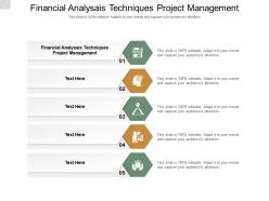 Financial analysais techniques project management ppt powerpoint presentation styles cpb