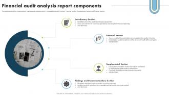 Financial Audit Analysis Report Components