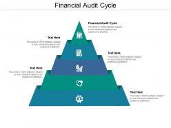 Financial audit cycle ppt powerpoint presentation model structure cpb
