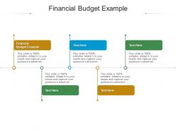 Financial budget example ppt powerpoint presentation inspiration portrait cpb