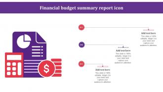 Financial Budget Summary Report Icon