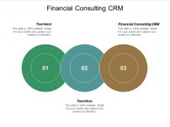 Financial consulting crm ppt powerpoint presentation file shapes cpb