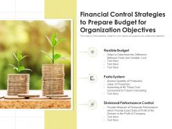 Financial Control Strategies To Prepare Budget For Organization Objectives