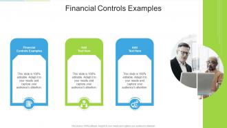 Financial Controls Examples In Powerpoint And Google Slides Cpb