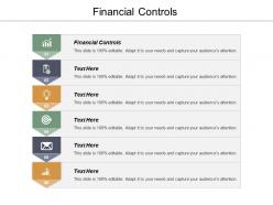 Financial controls ppt powerpoint presentation show elements cpb