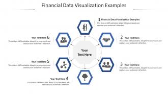 Financial data visualization examples ppt powerpoint presentation show template cpb
