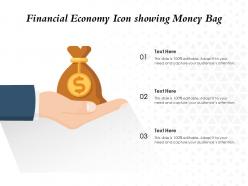 Financial economy icon showing money bag