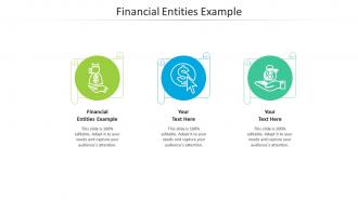 Financial entities example ppt powerpoint presentation styles graphics design cpb