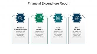 Financial expenditure report ppt powerpoint presentation gallery outfit cpb