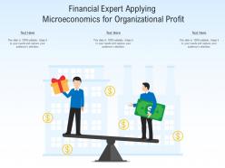 Financial expert applying microeconomics for organizational profit
