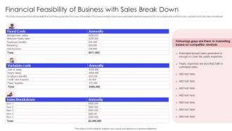 Financial Feasibility Of Business With Sales Break Down