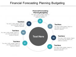 Financial forecasting planning budgeting ppt powerpoint presentation slides model cpb