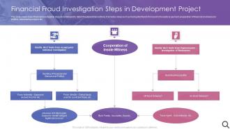 Financial Fraud Investigation Steps In Development Project