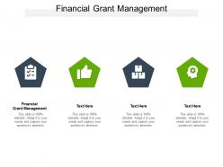 Financial grant management ppt powerpoint presentation professional structure cpb