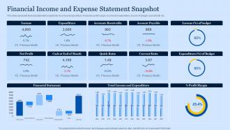 Financial Income And Expense Statement Snapshot
