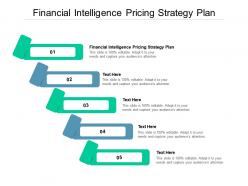 Financial intelligence pricing strategy plan ppt powerpoint presentation slides structure cpb
