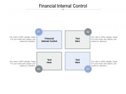 Financial internal control ppt powerpoint presentation icon maker cpb