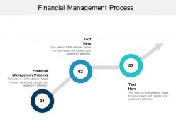 Financial management process ppt powerpoint presentation file graphics pictures cpb