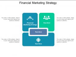 Financial marketing strategy ppt powerpoint presentation summary sample cpb