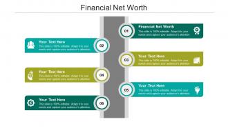 Financial net worth ppt powerpoint presentation professional graphics pictures cpb